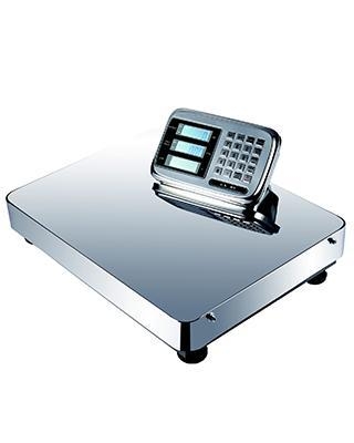 Camry Electronic Stainless Plaform Scale Wireless Indicator 300Kg
