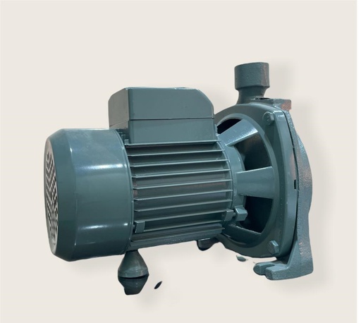 [2200023] Ecco 1 Hp Water Pump 4010 